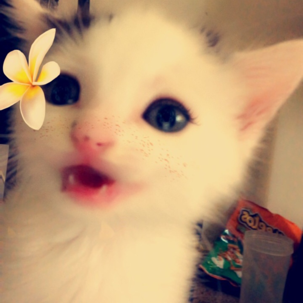 ❤️❤️❤️